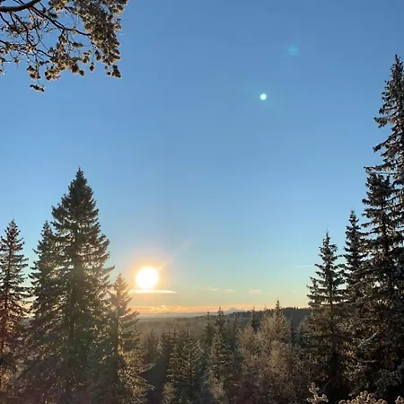 Al-hytte I Snertingdal Pa Solrik Tomt Med Suveren Beliggenhet Ferienhaus *