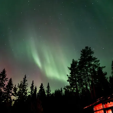 Tatil Evi Al-hytte I Snertingdal Pa Solrik Tomt Med Suveren Beliggenhet Gjøvik