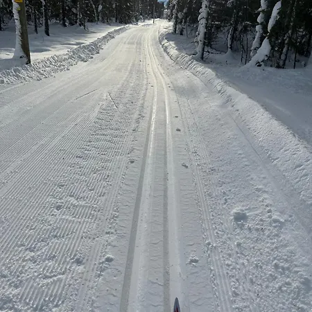 Al-hytte I Snertingdal Pa Solrik Tomt Med Suveren Beliggenhet Gjovik