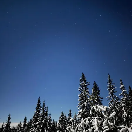 Al-hytte I Snertingdal Pa Solrik Tomt Med Suveren Beliggenhet * Gjovik